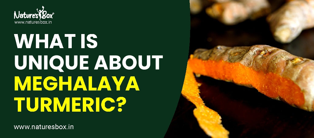 What is Unique about Meghalaya Turmeric?