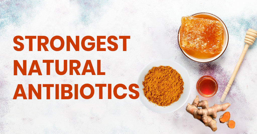 Turmeric With Honey Benefits: Unlocking Nature's Healing Power