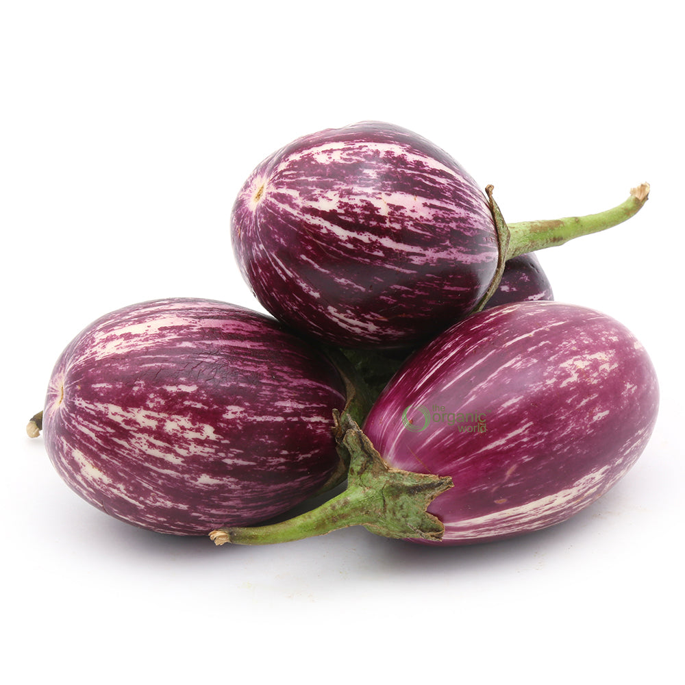 Organic Brinjal: Discover the Benefits and Growing Tips