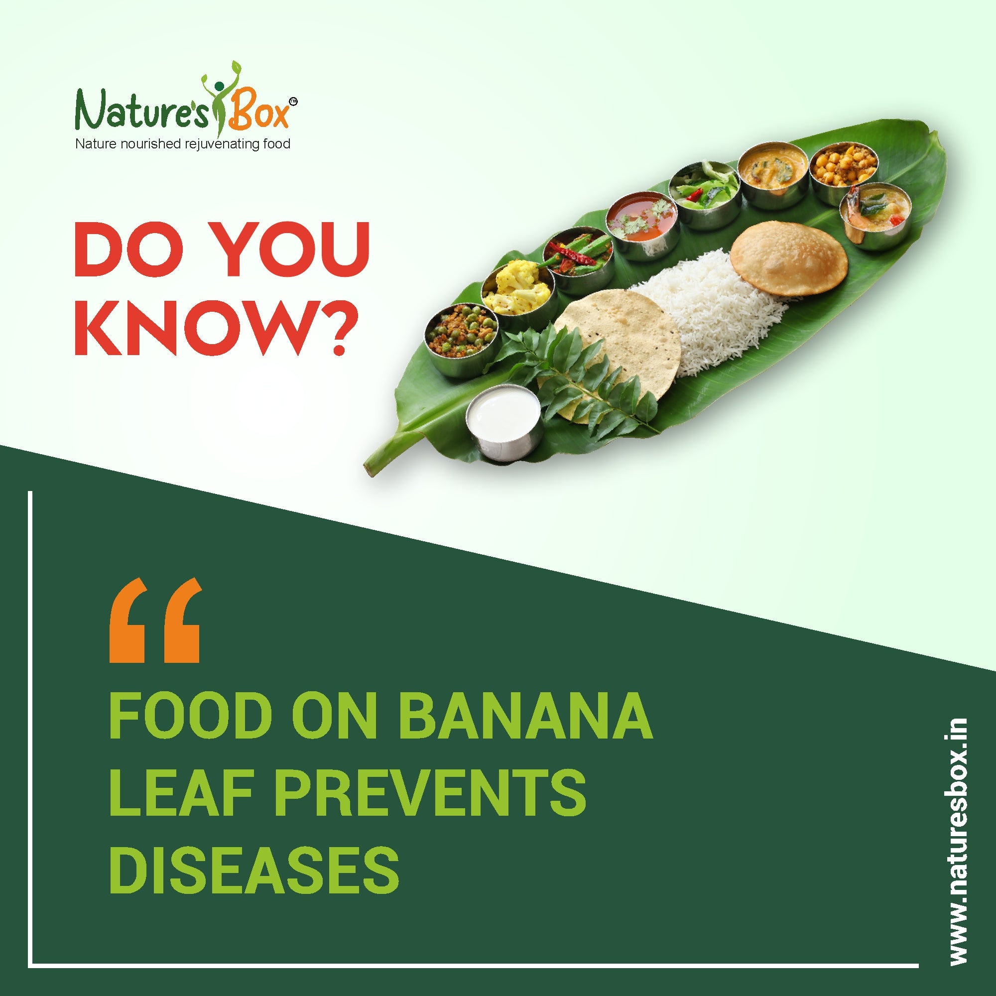 Health Benefits of Banana Leaf