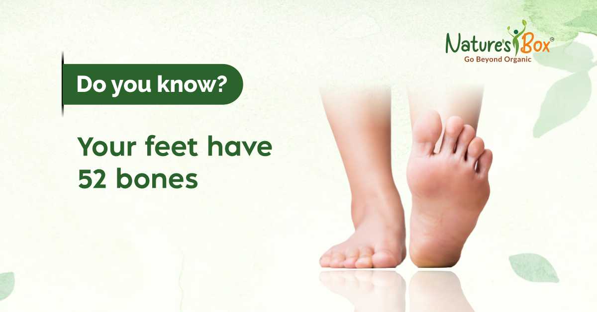 Each foot has 26 bones