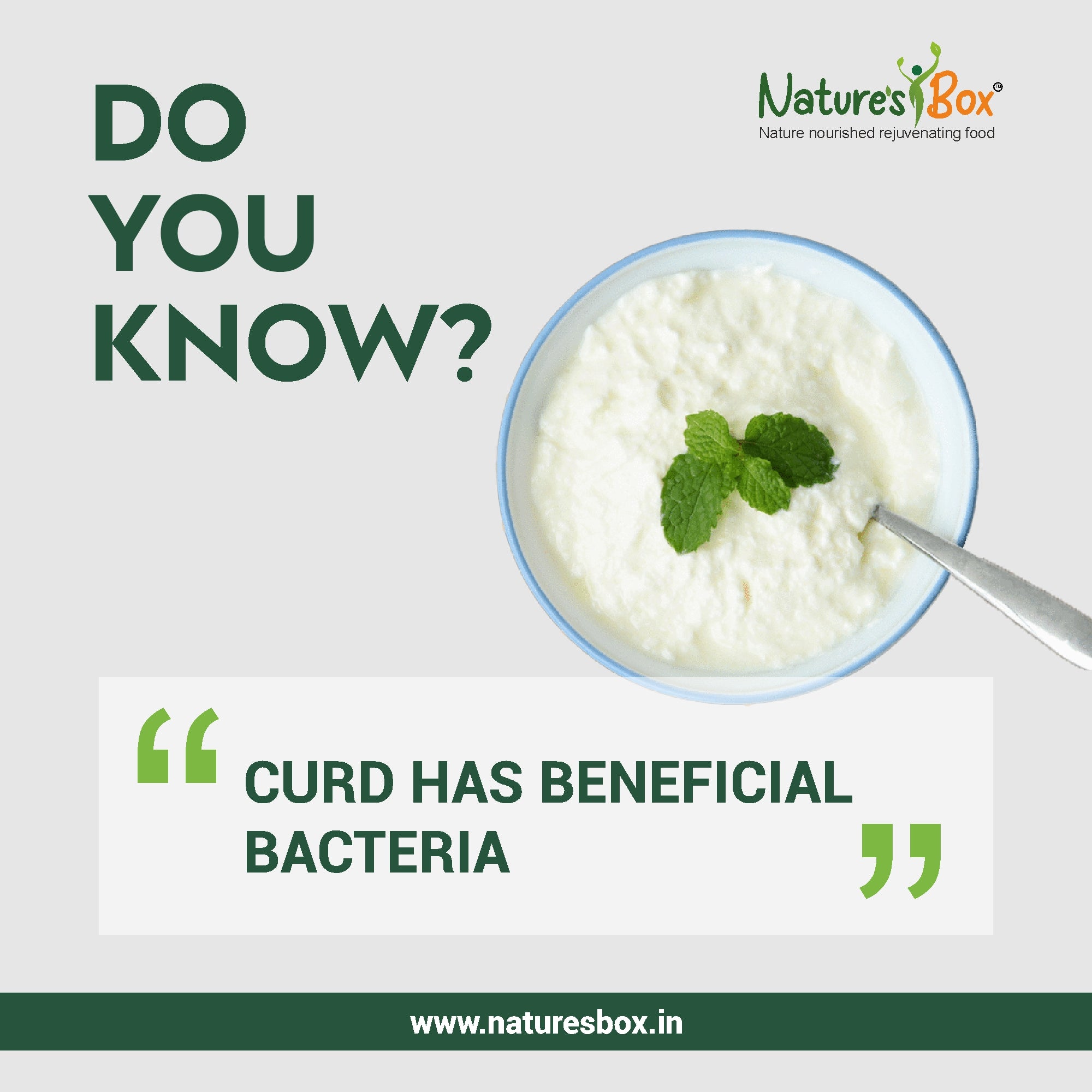 The Good Bacteria of Curd Keeps You Healthy